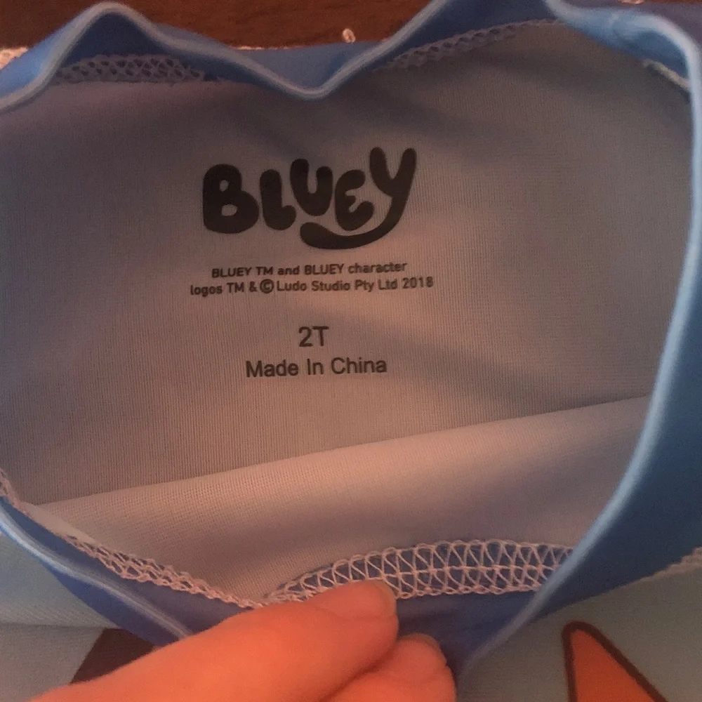 👰🏻‍♀️ Bluey 2T Long Sleeve Swim Top & Swim Trunks